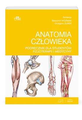 Anatomia Człowieka